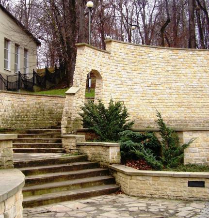 Klub Kino Kawiarnia Dyskoteka